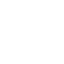 Tonevault logo